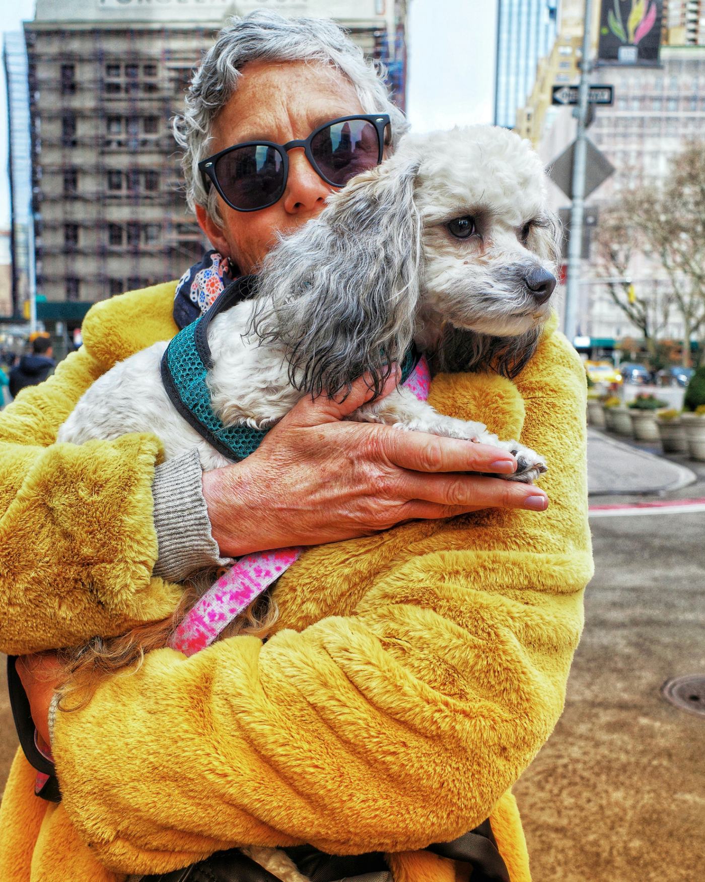 Senior woman in a yellow coat hugging her small dog on a city street