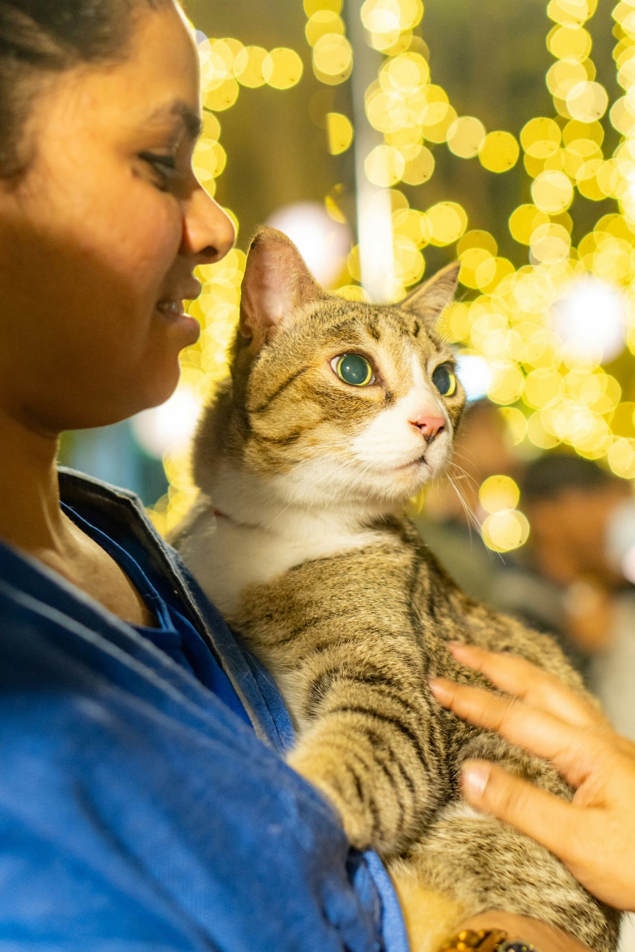 Woman smiling at her tabby cat under festival lights