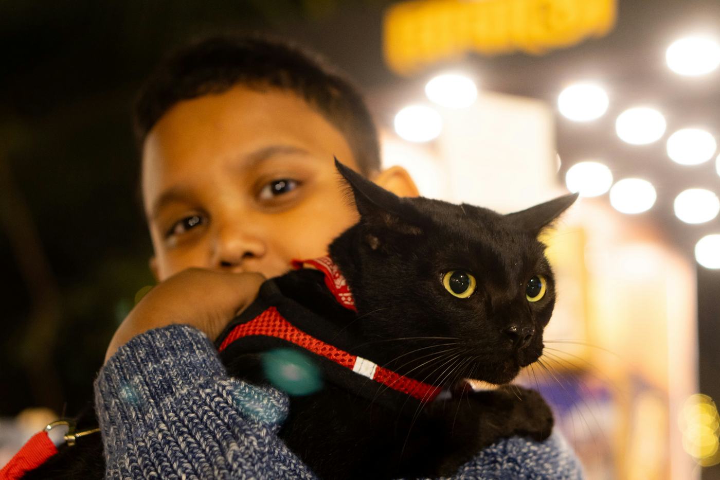 Young boy holding his black cat close at night